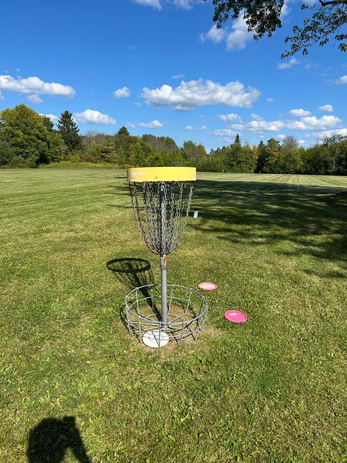 Hole 9 basket