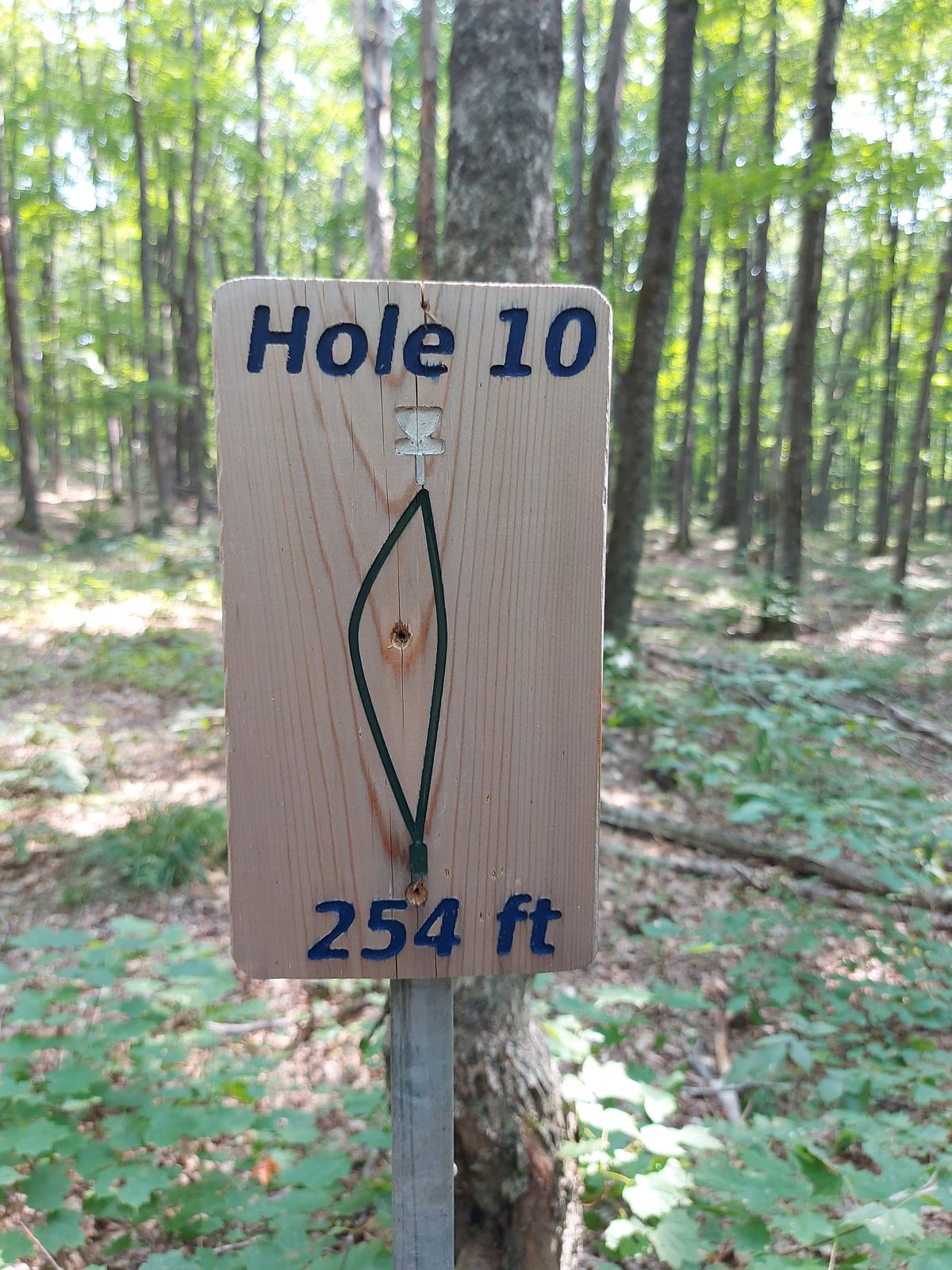 Hole sign #10.🌳🪵🍃🪵