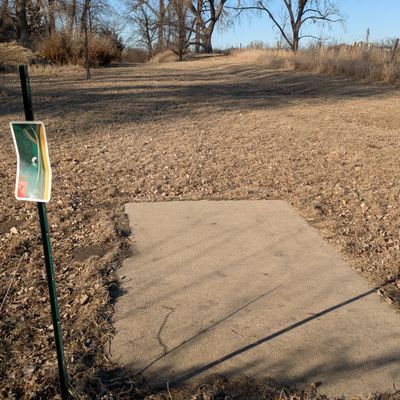 Tee #7