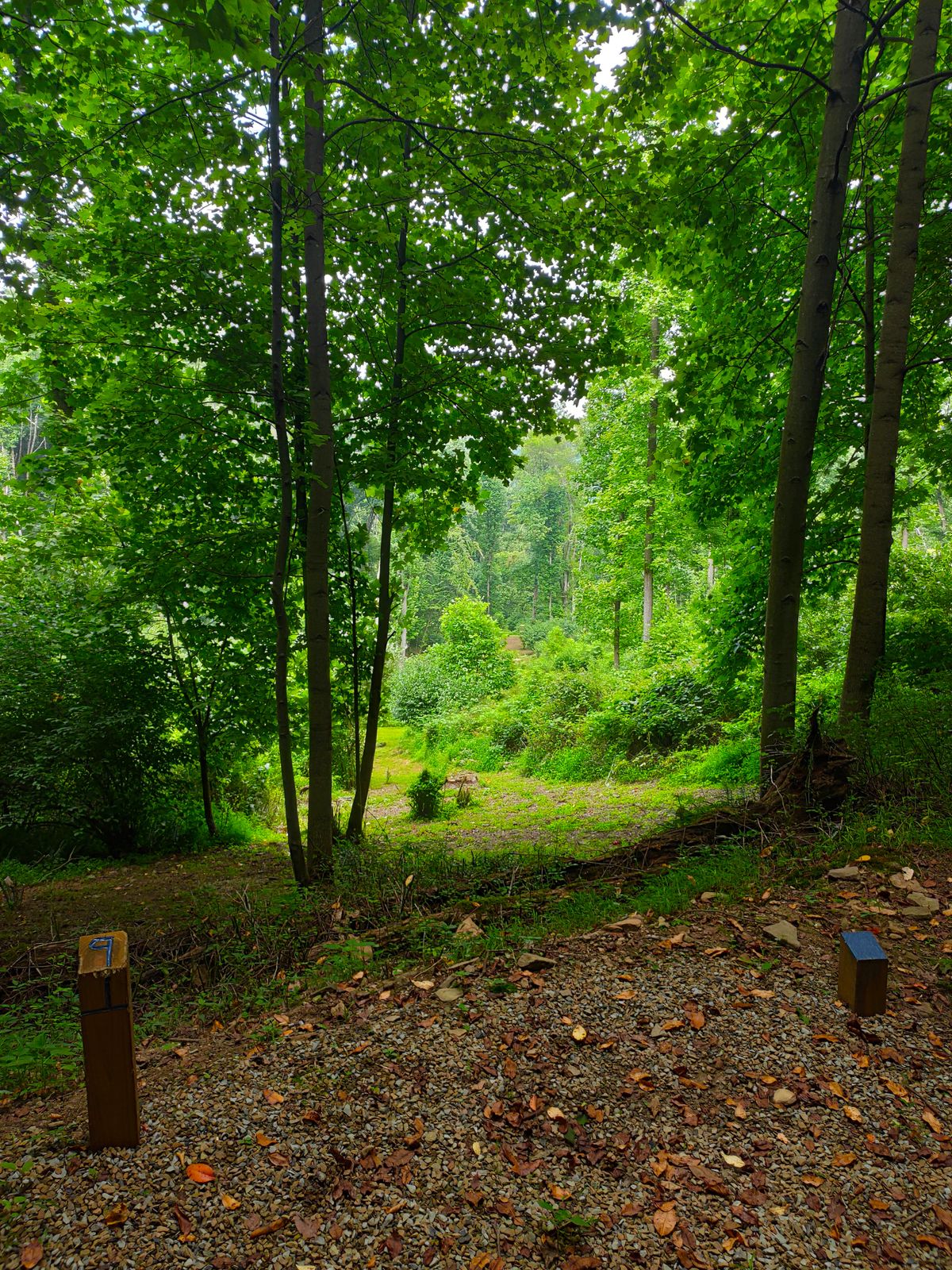 Hole 9 (Blue) Tee