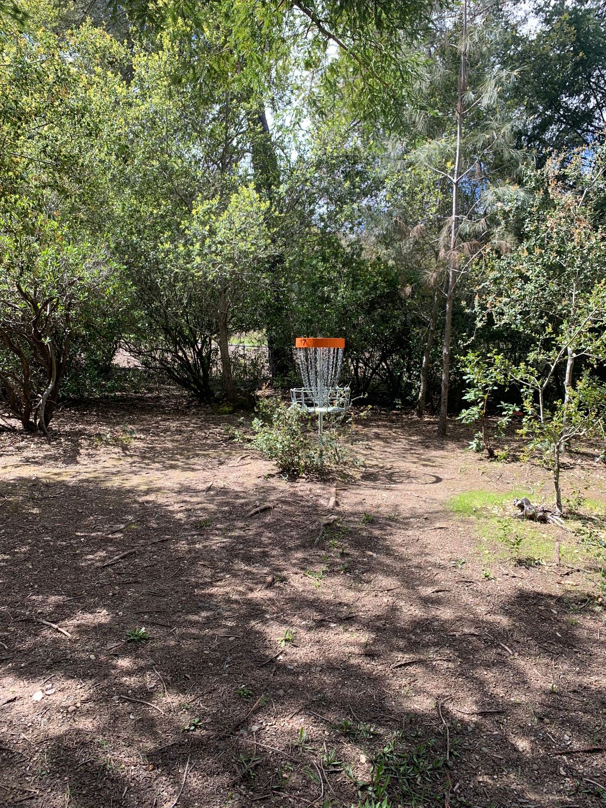 Hole 19