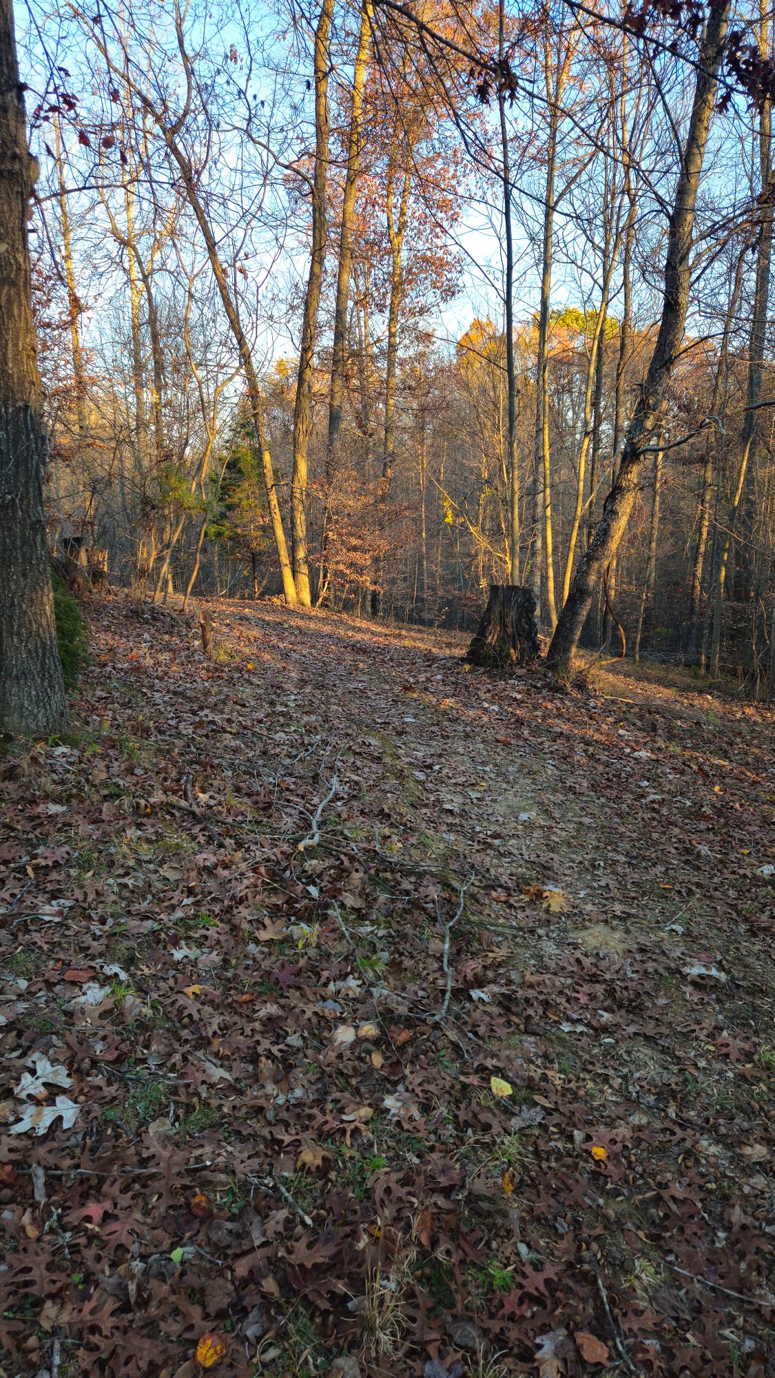 Hole 5
