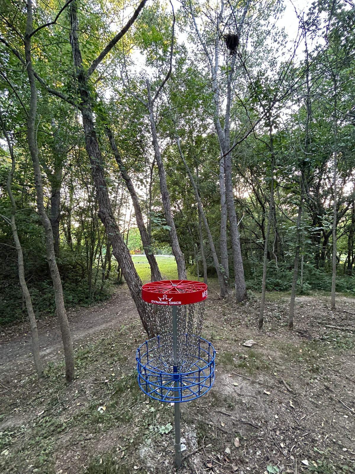 Hole #13 B basket look back to tee pad