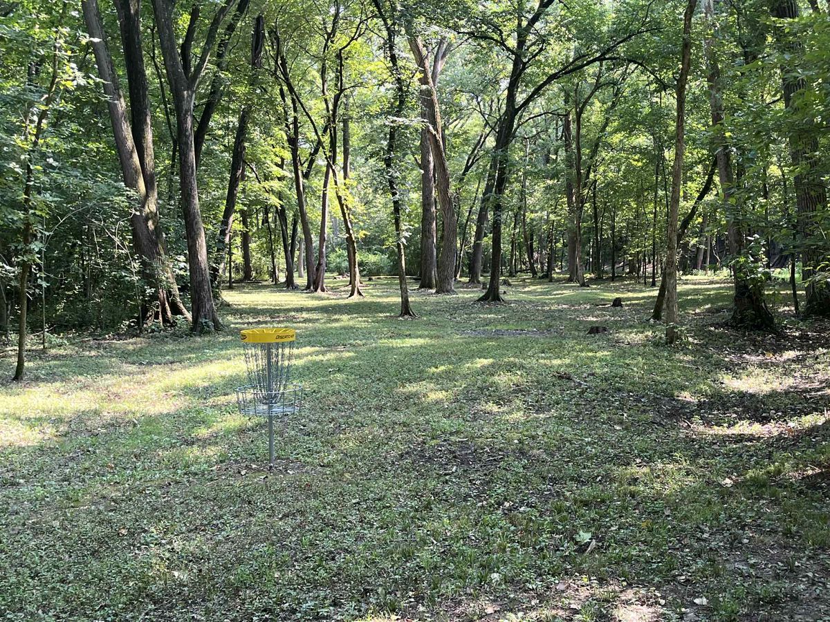 Hole 4 gold