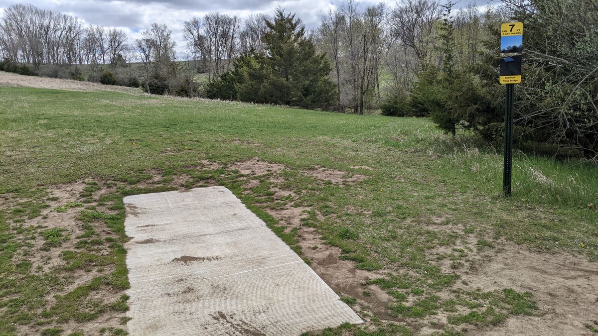 Tee #7