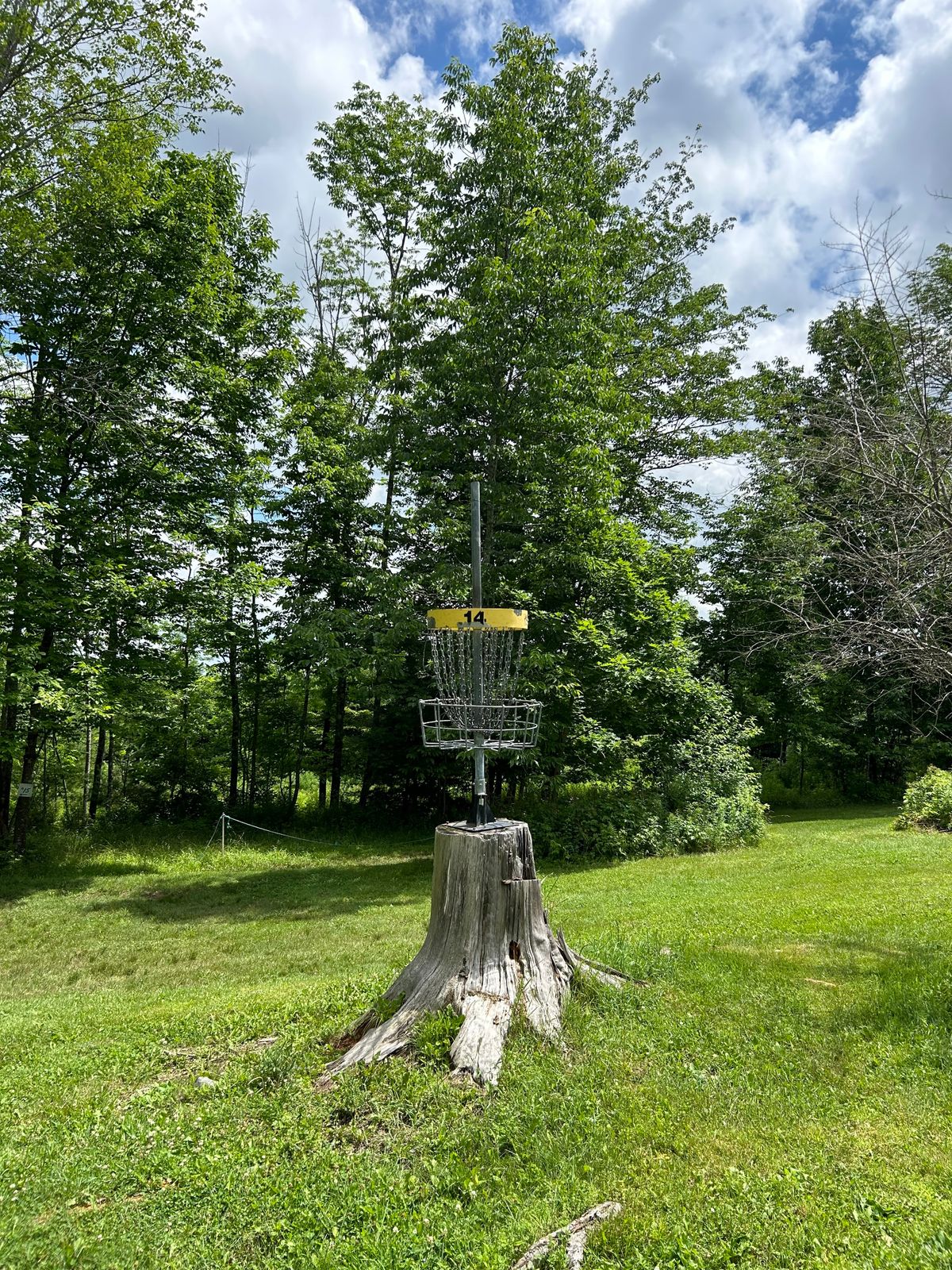 Hole 14 Basket
The aftermath