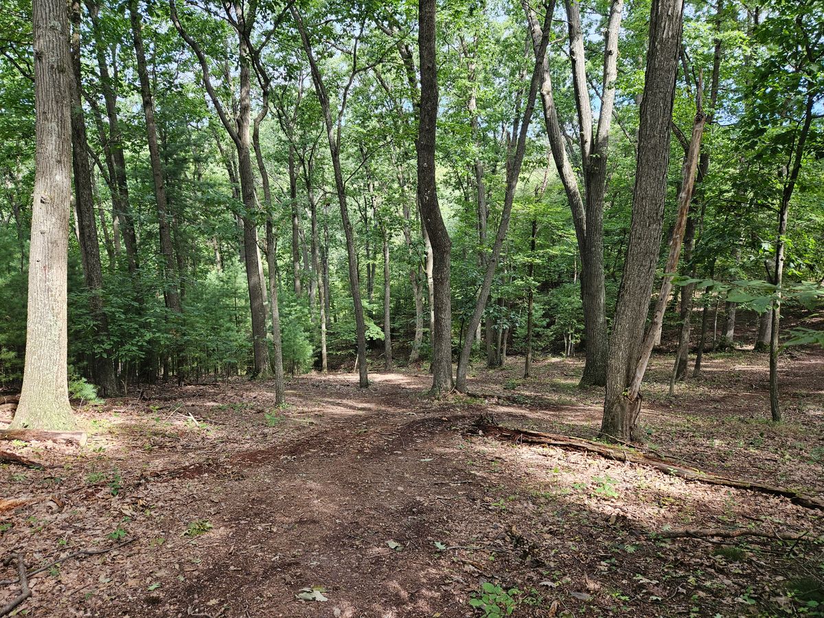 Hole 2 white