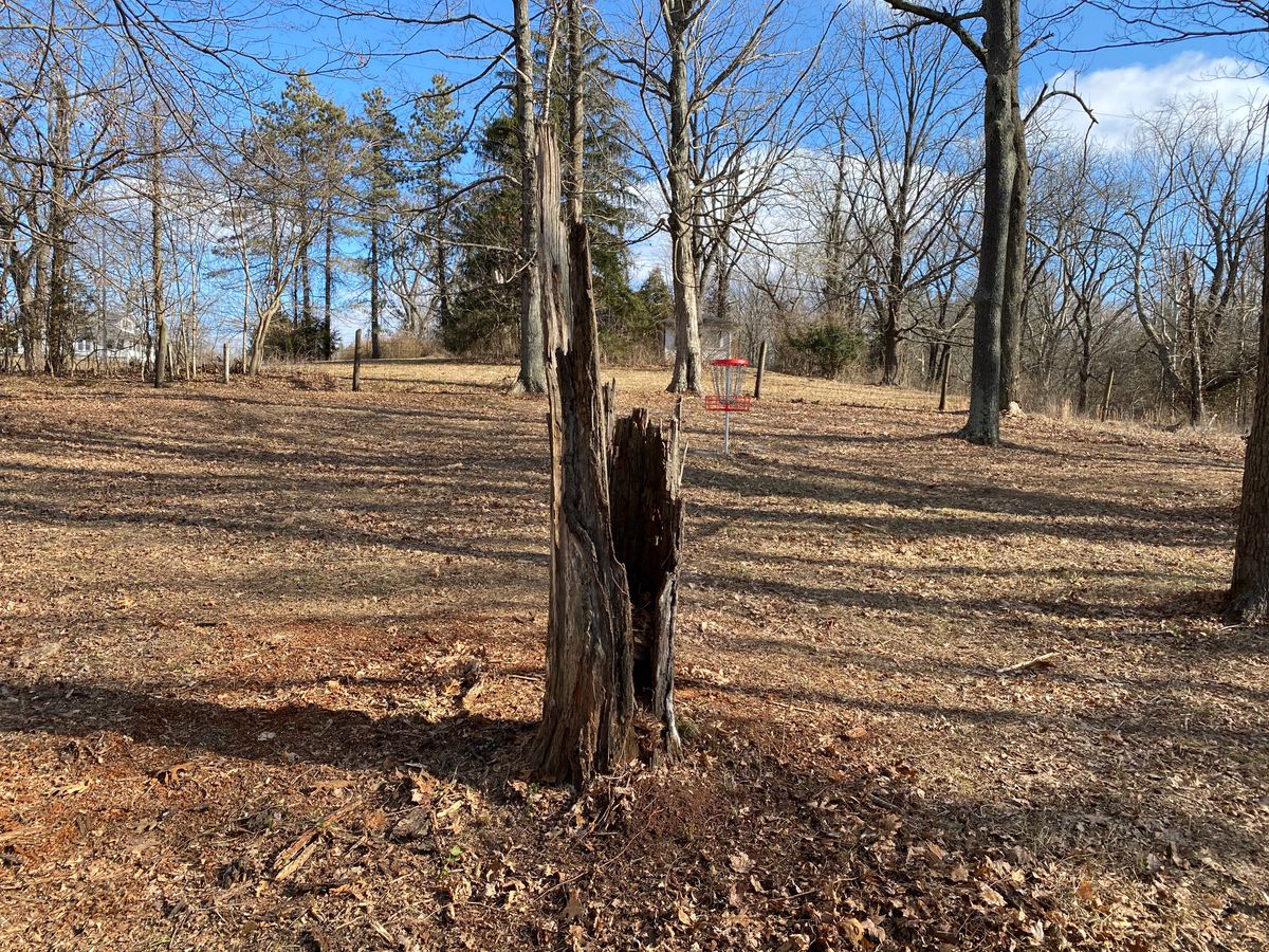 The famous Deadwood stump located on hole #7