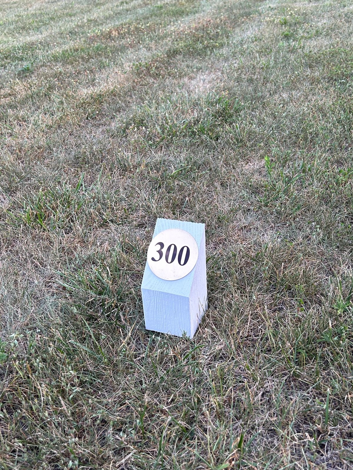 Hole #2 Up close distance marker let’s you know how far you have thrown