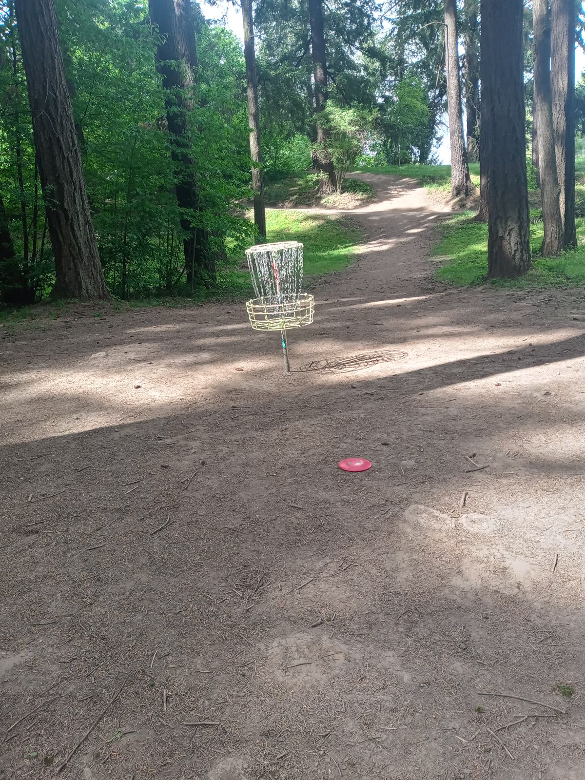 Hole 15 in sunshine