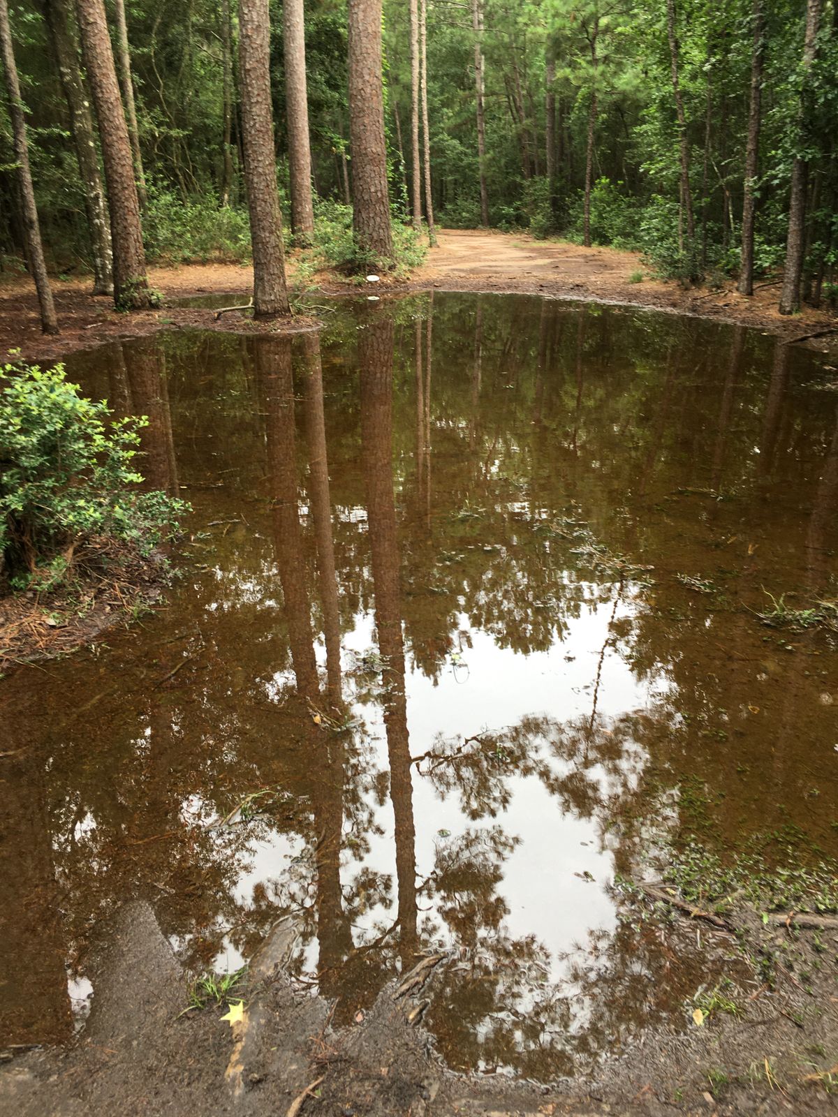 Hole 1 holds a lot of water