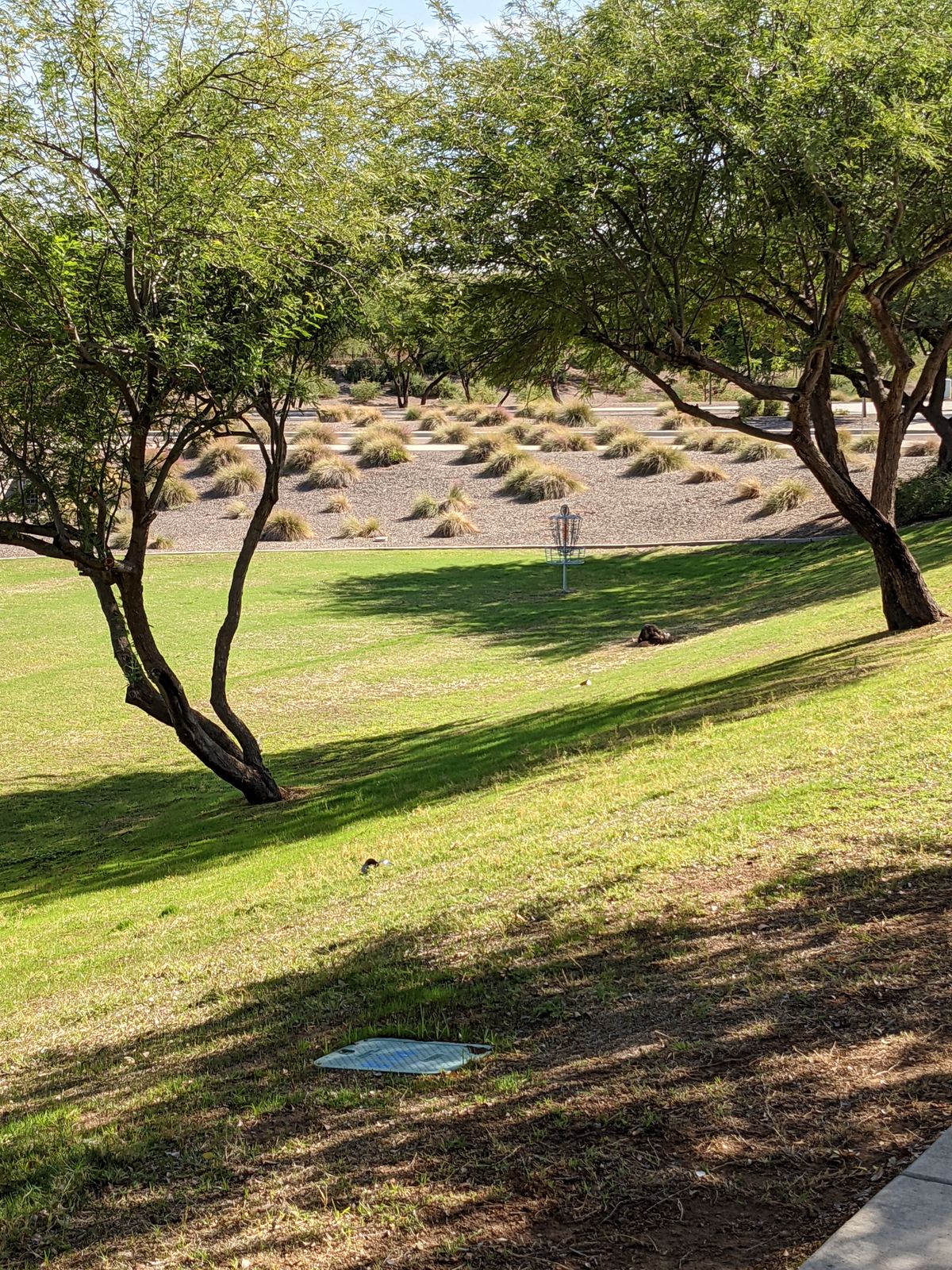 Hole 4