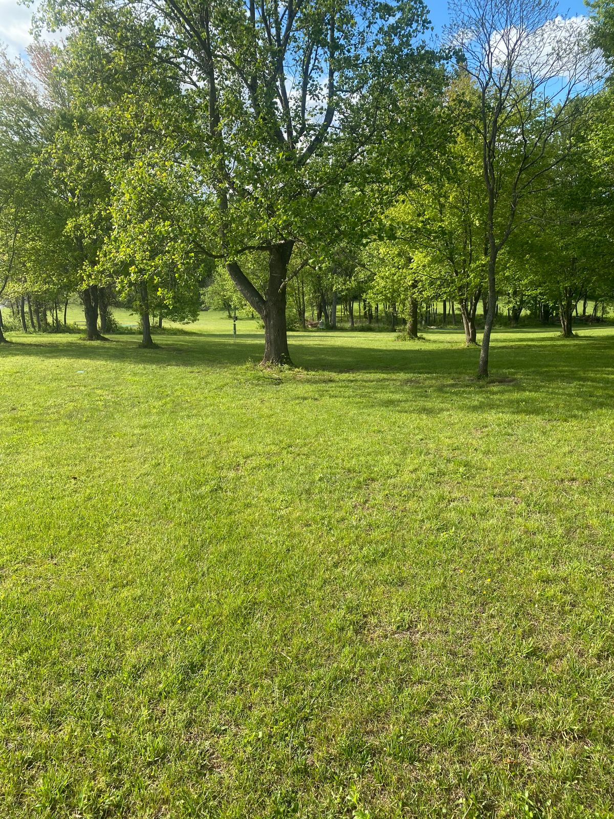 Hole 3
