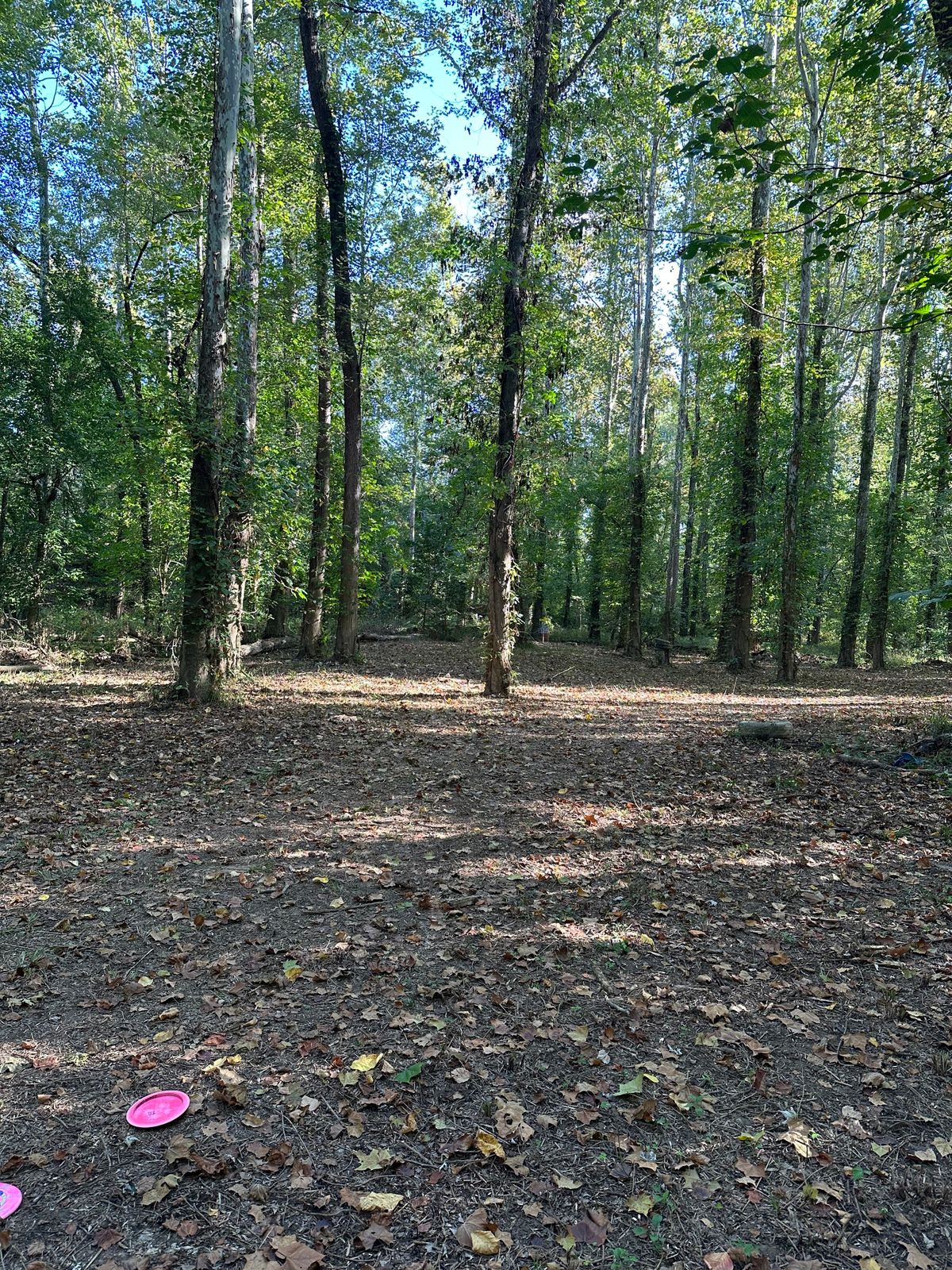 Hole 5