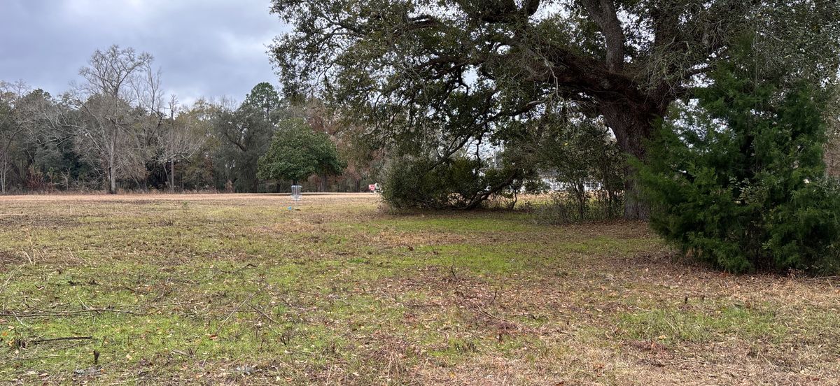Hole 8 Blue