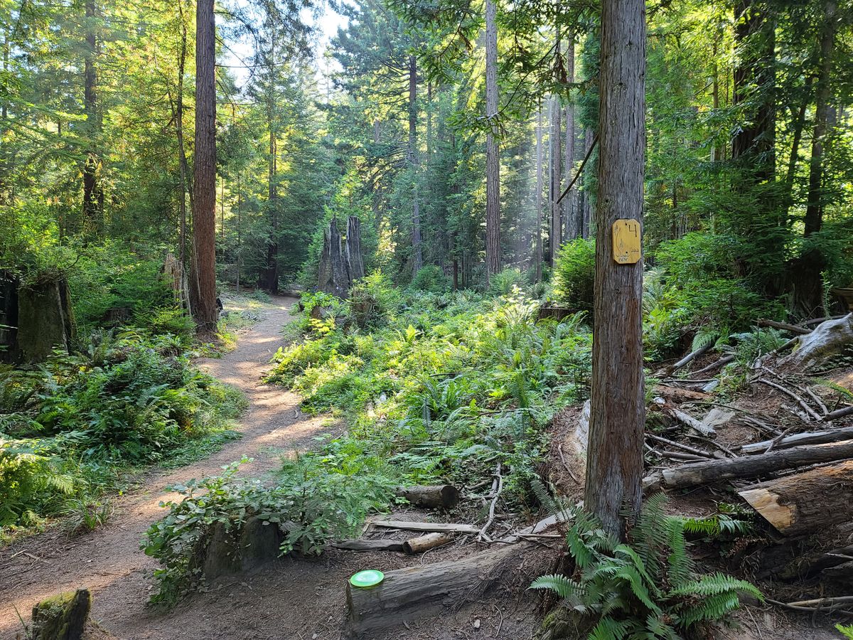 Hole 4