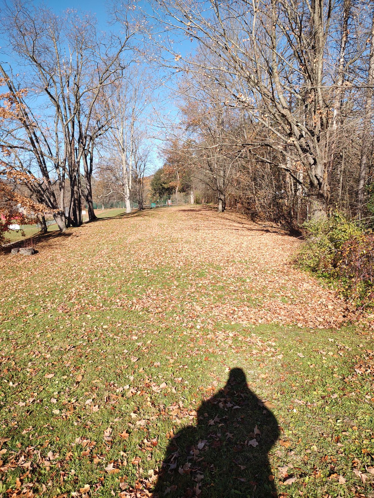 Open Fairway.