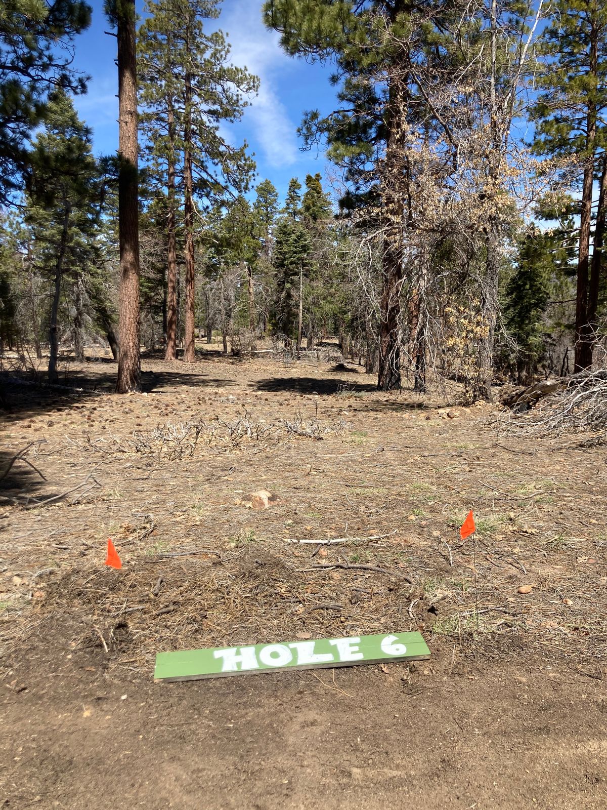 Hole 6