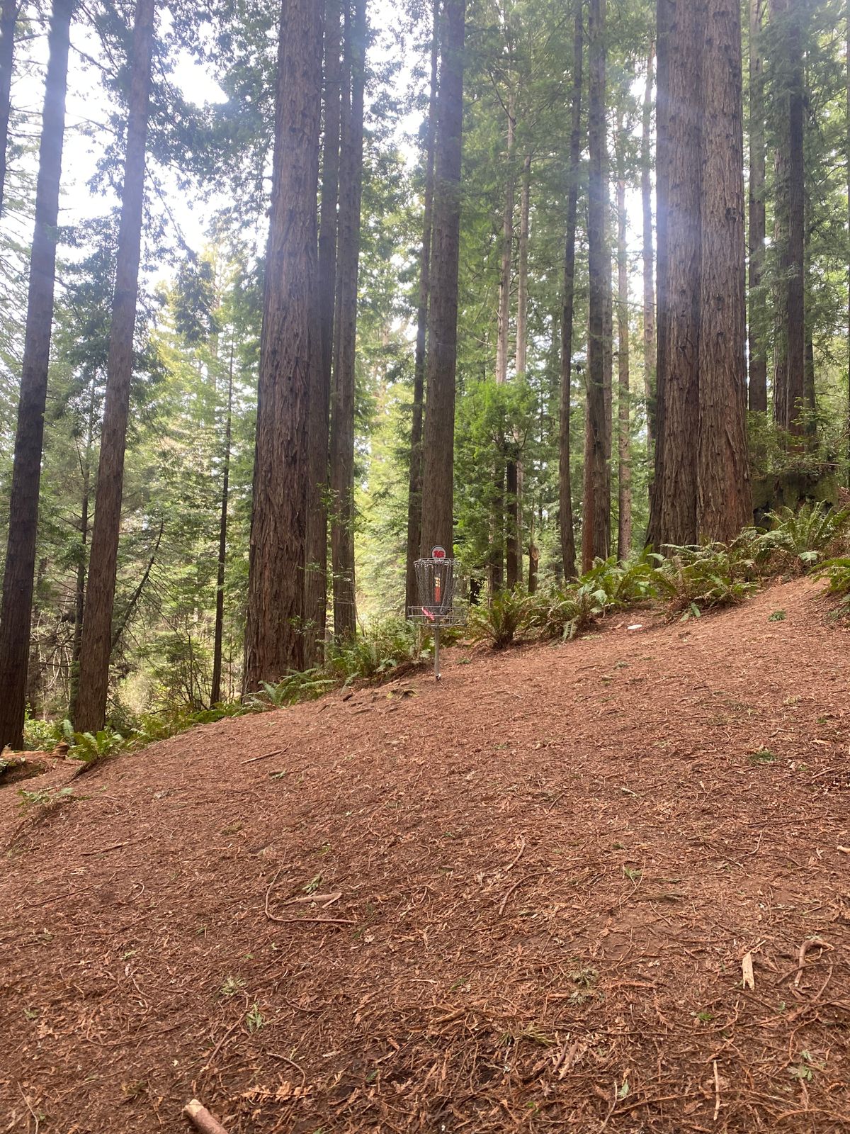 Hole 16