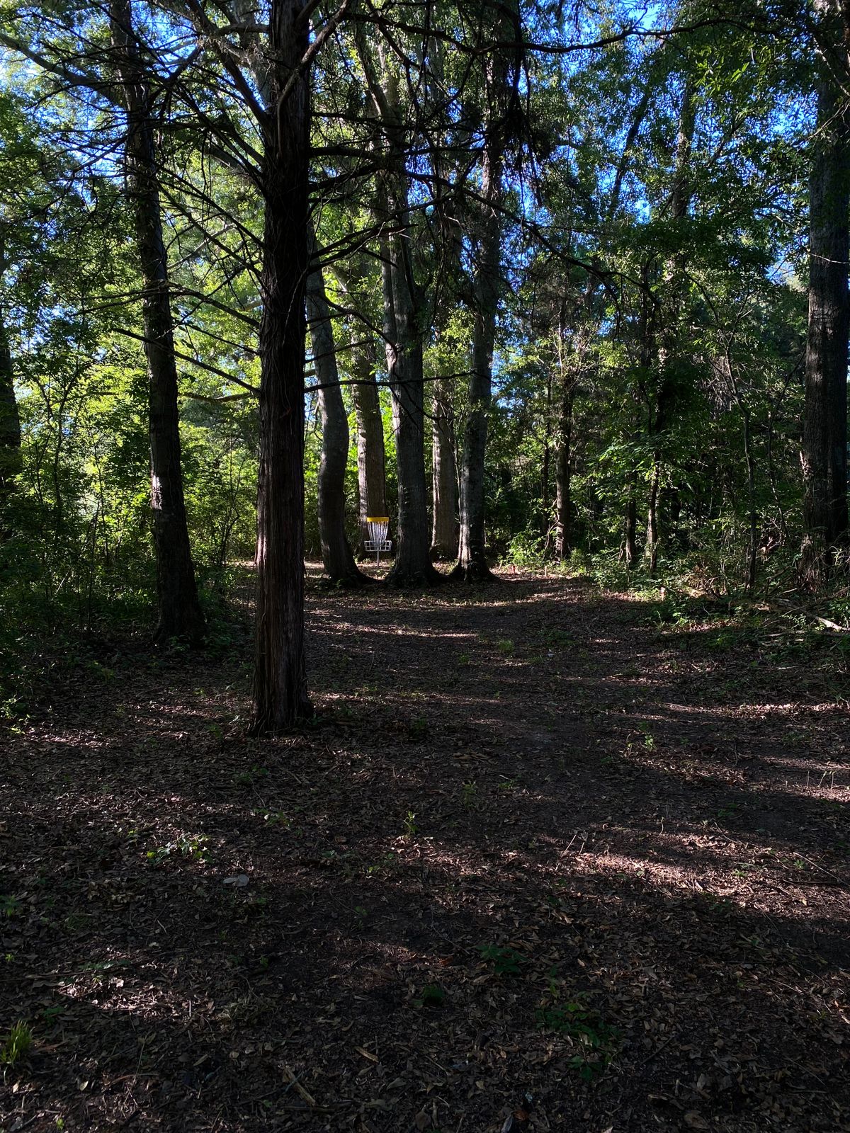 View from the fairway of Hole A Basket