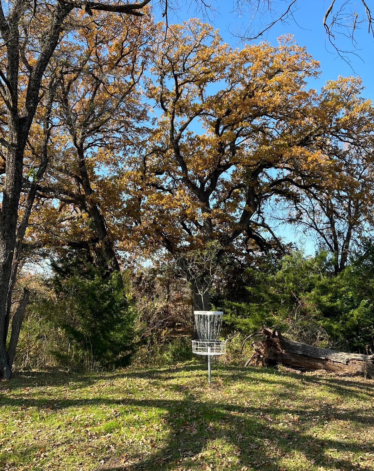 Hole 6 green