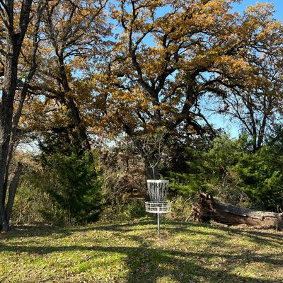 Hole 6 green