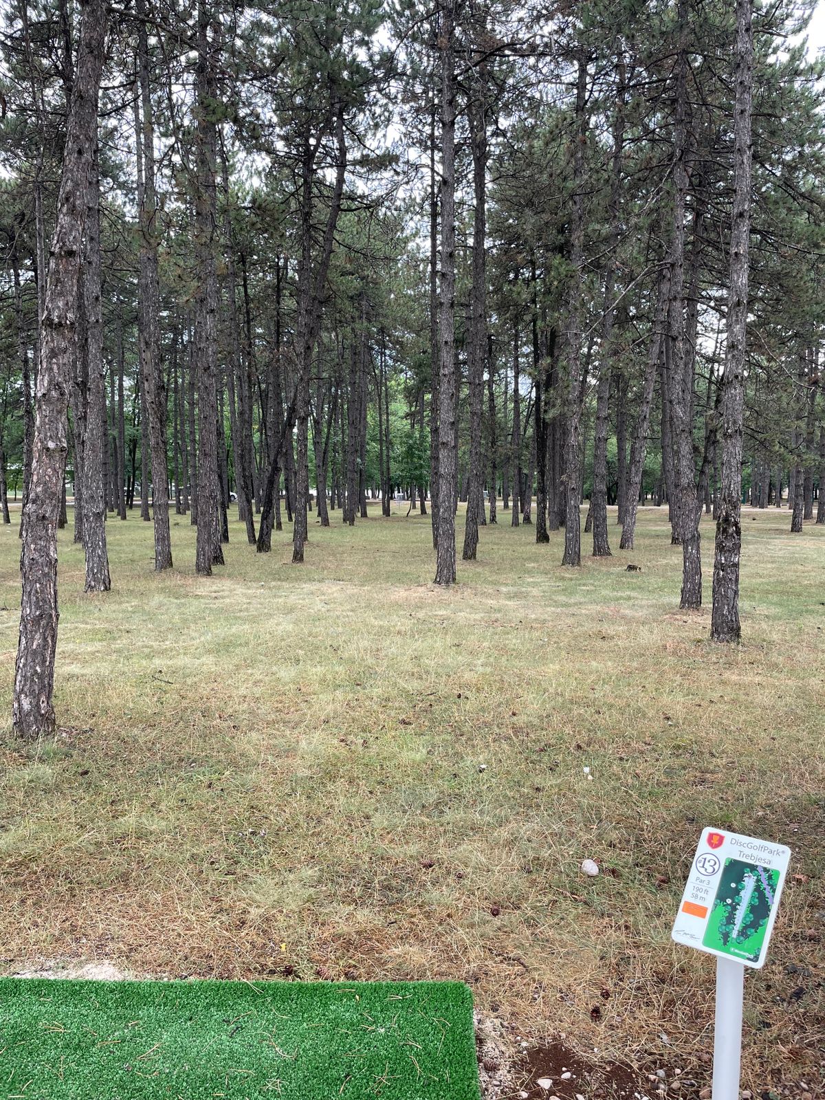 Hole 13 tee