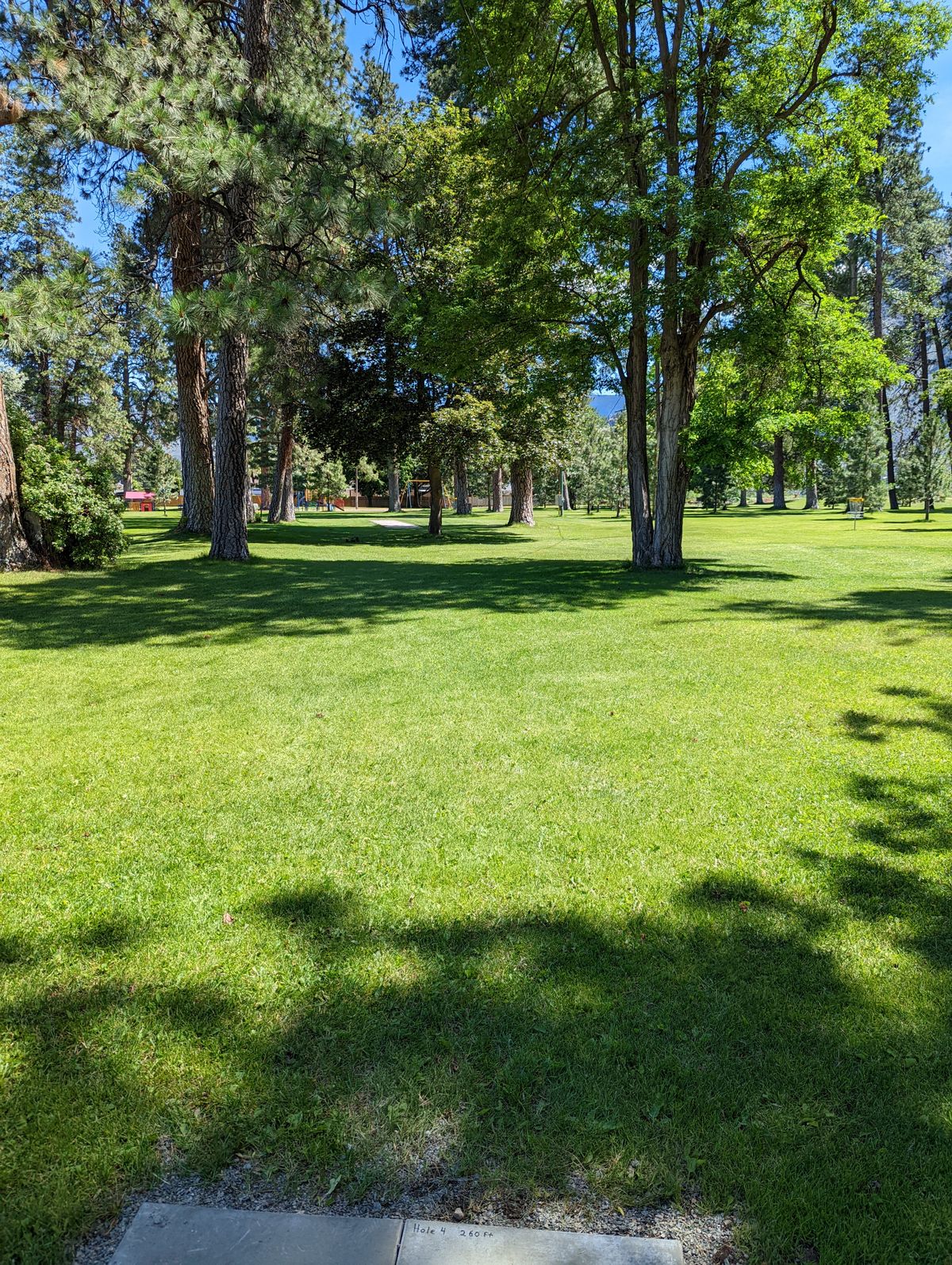 Hole 4 - 260'