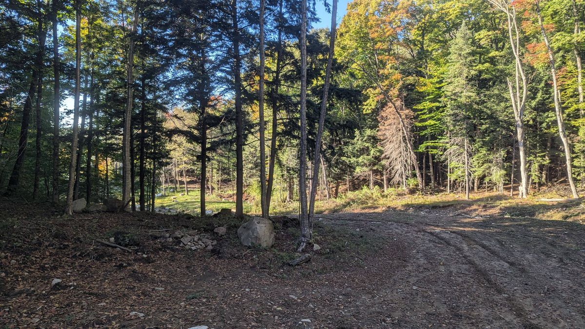 Hole 8 Fairway