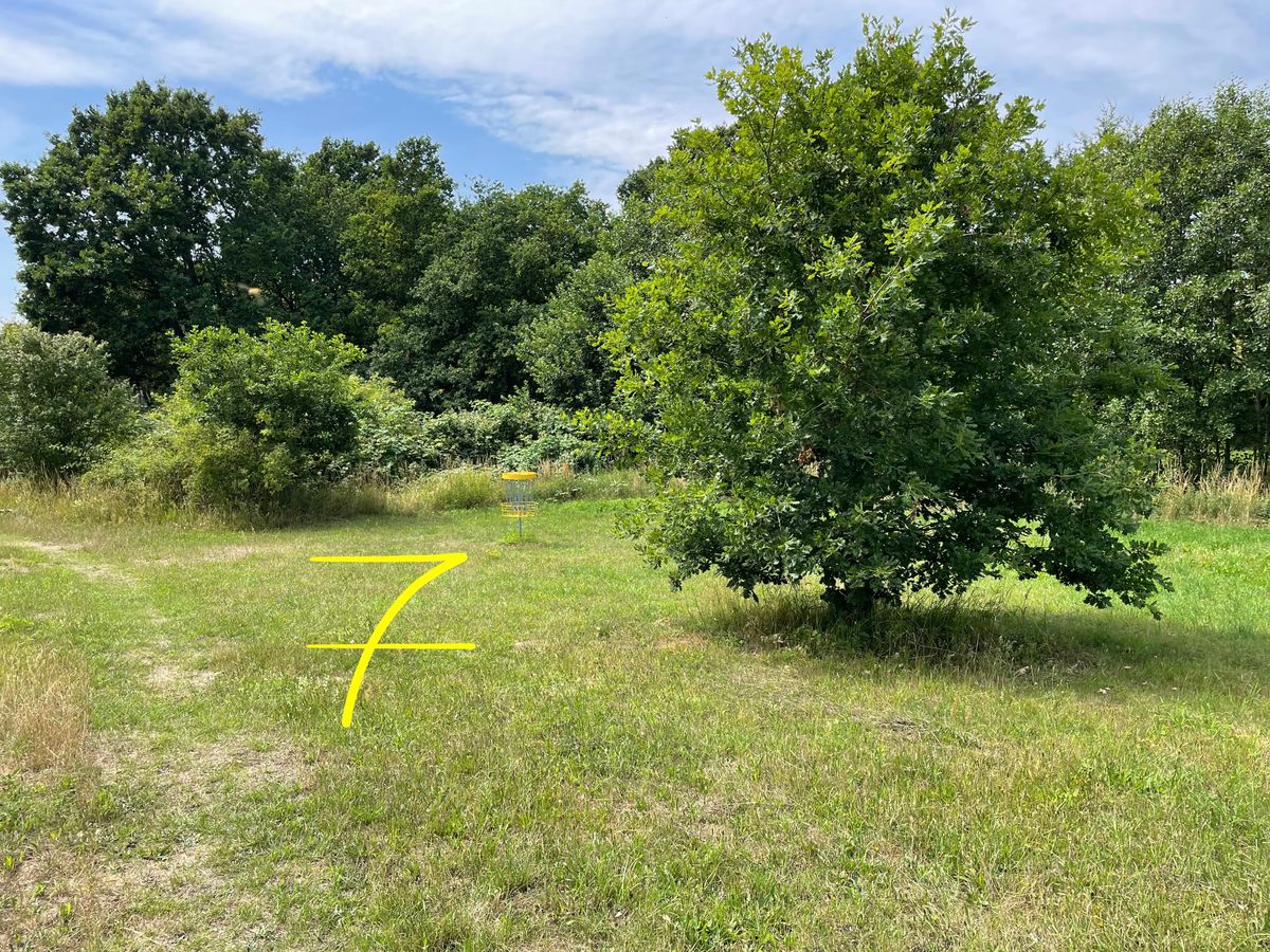 The course as it looks in 2023: Basket 7