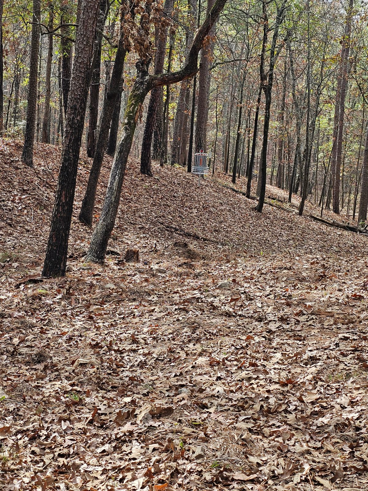 Hole 4