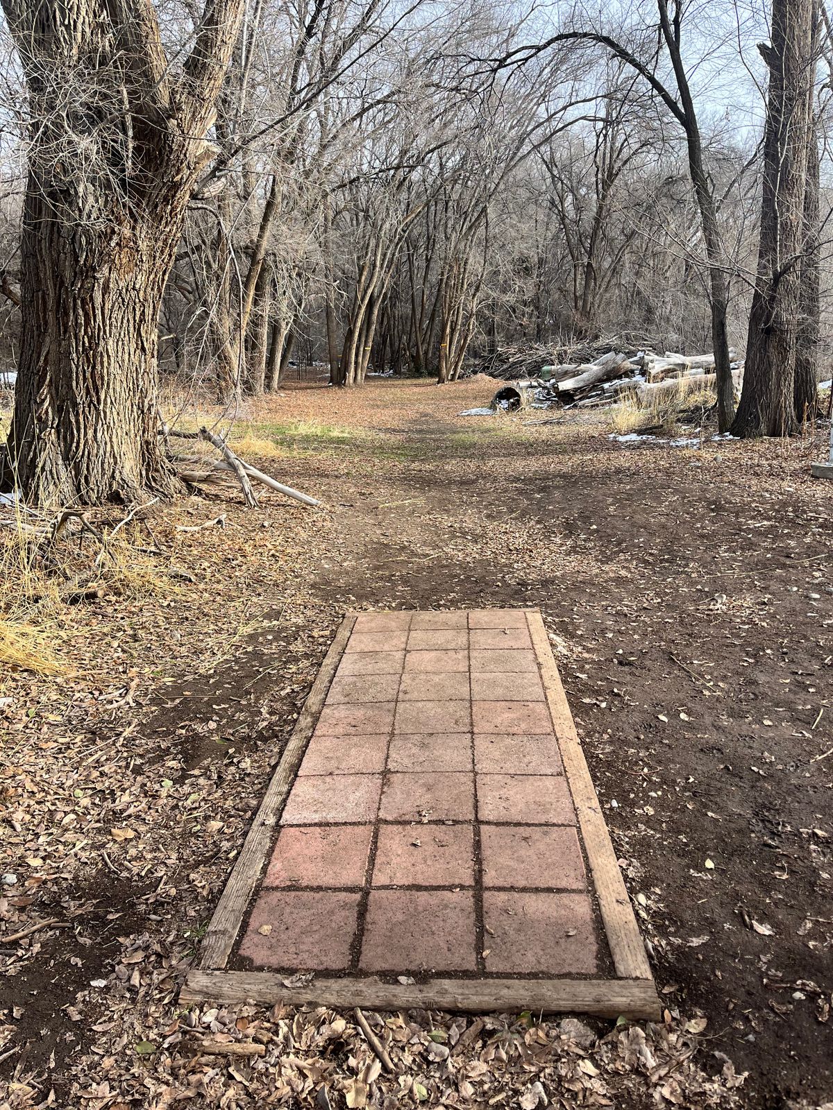 Art Dye Disc Golf Park Course Photos
