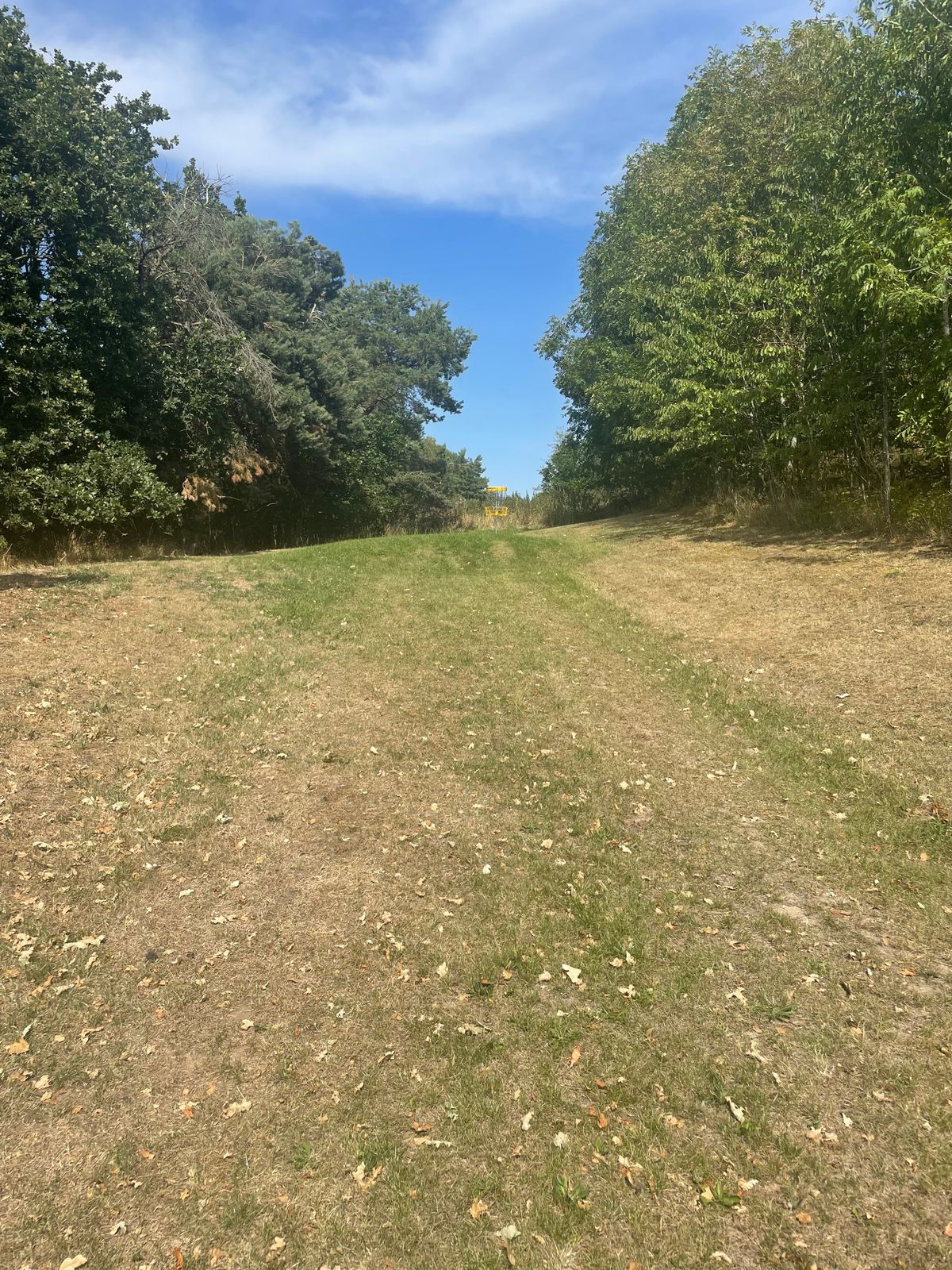 Hole 5 from Tee