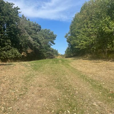 Hole 5 from Tee