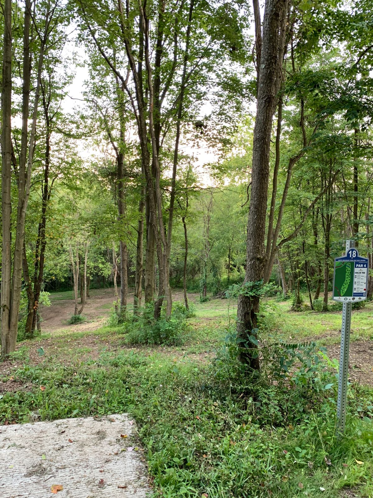Hole 18 blue tee