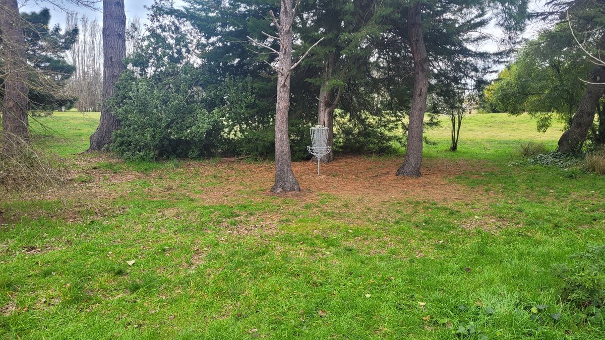 Hole 3 Basket