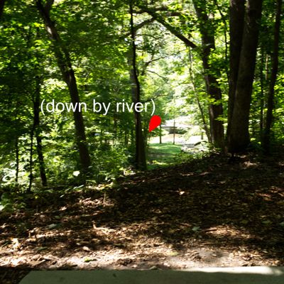 New long 9 (moved to top of hill near hole 8 basket due to future playground const). Down ravine.