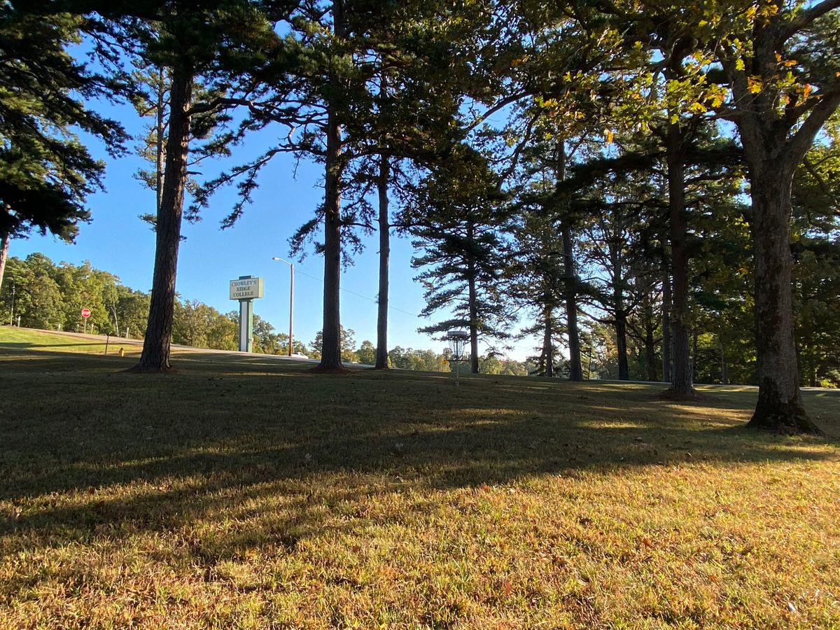 Hole 8 green