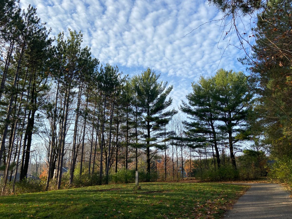 Tee pad #9.