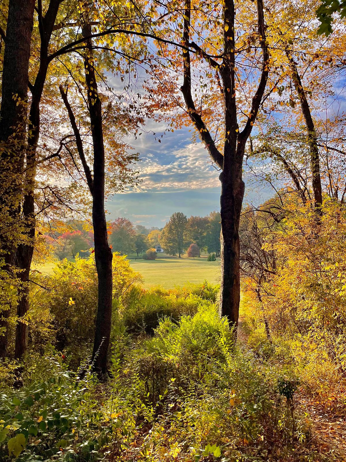 Hole 14 tee/gap