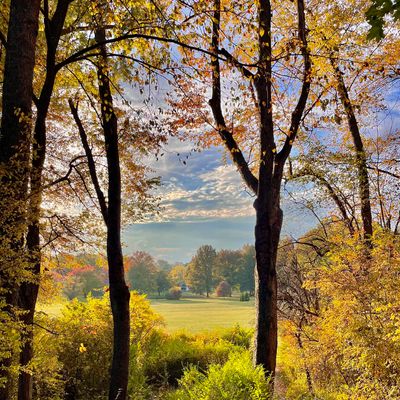Hole 14 tee/gap