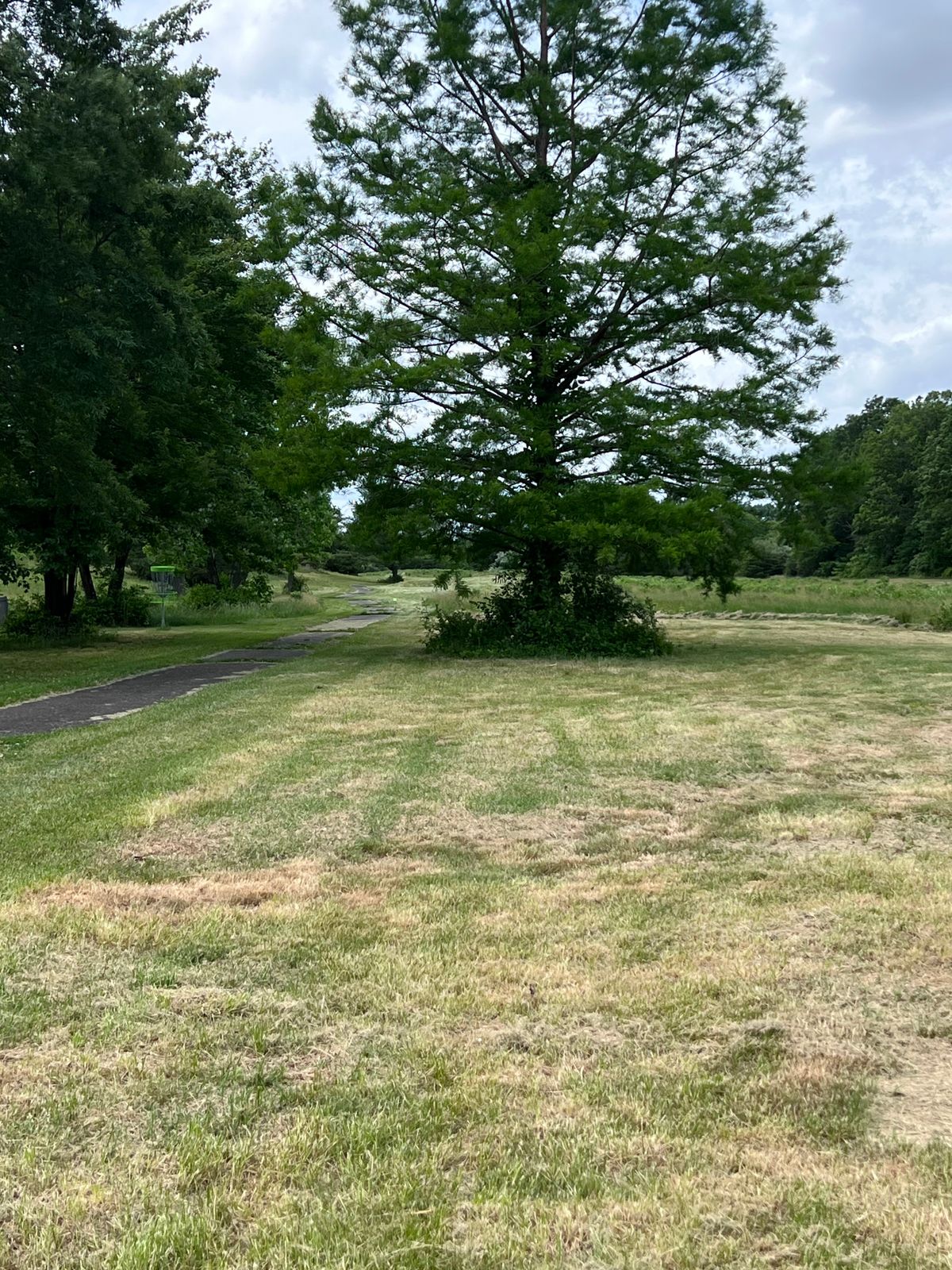 Hole 11 fairway, basket off the left just under the trees