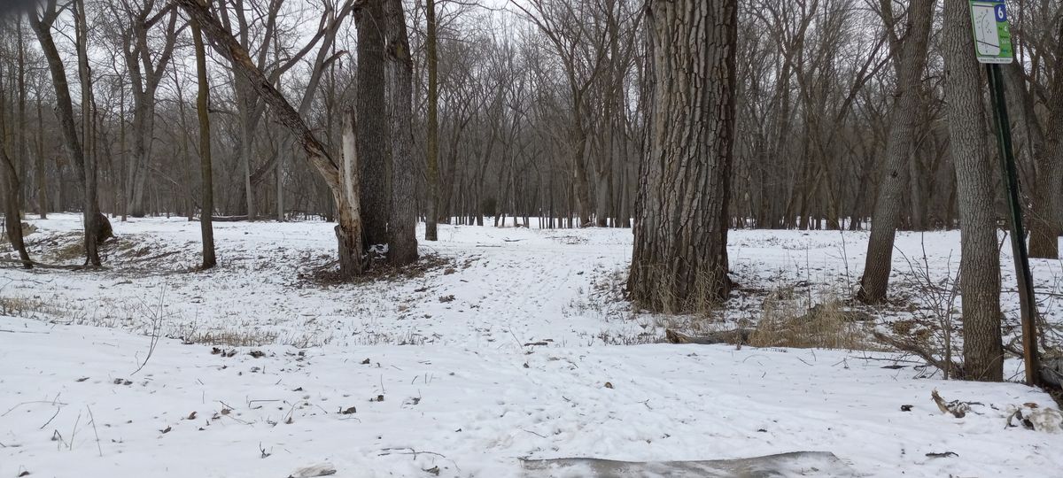 Hole six fairway.