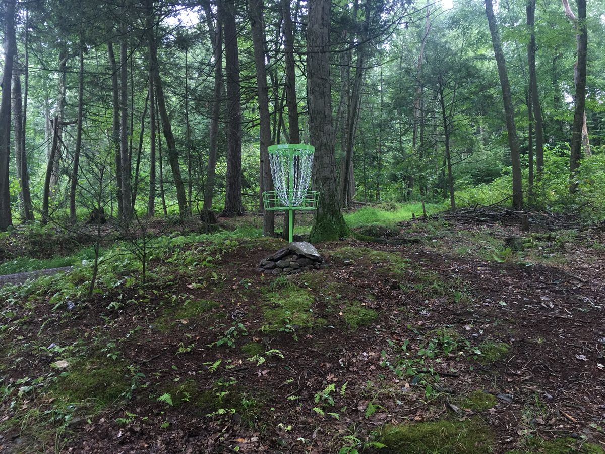 Closeup of Hole 8