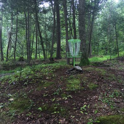 Closeup of Hole 8
