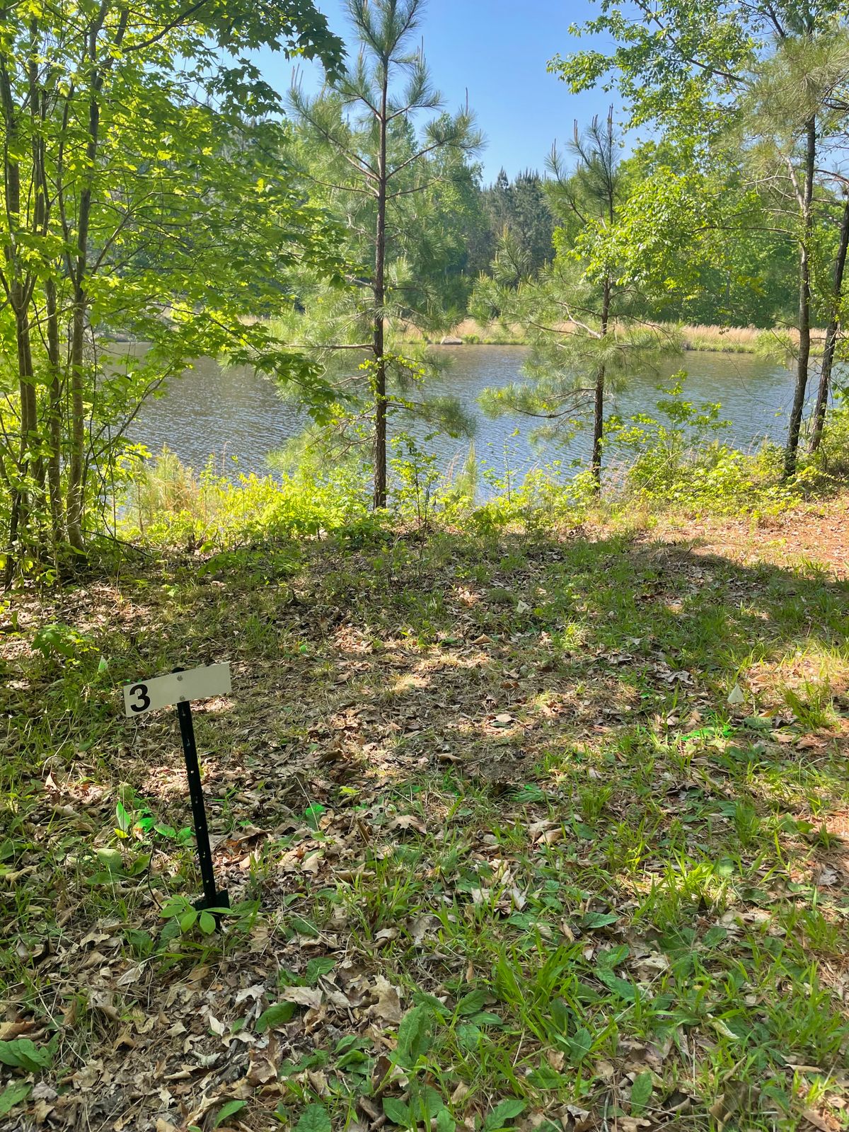 Hole 3 teepad