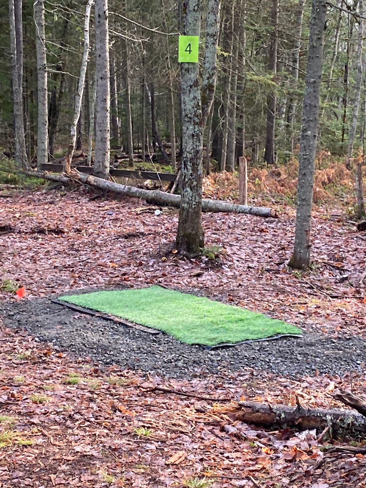 Hole 4 short tee