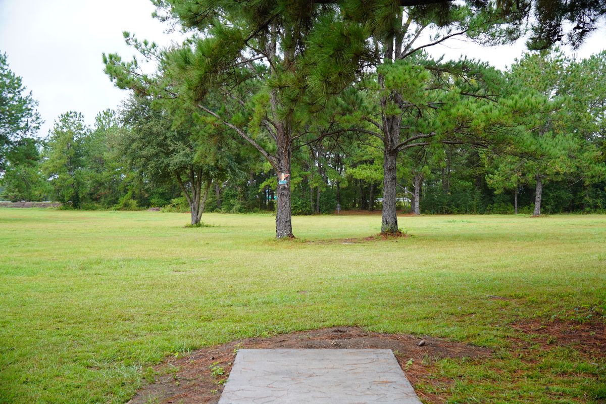 Hole 6. Straight shot, mando forcing you through the middle
