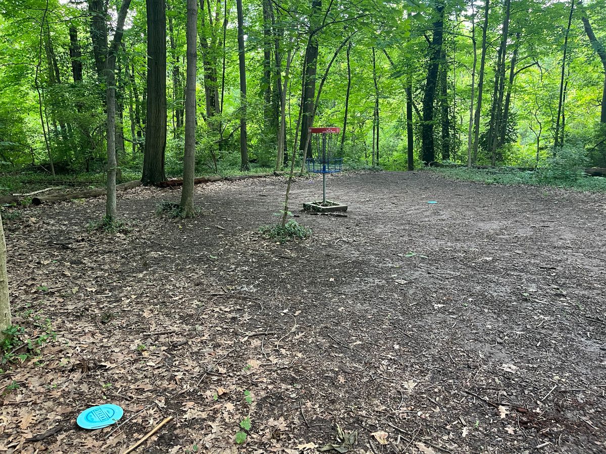 Hole 15’s beautiful, well-maintained C1 shelf after the tee shot through the woods.