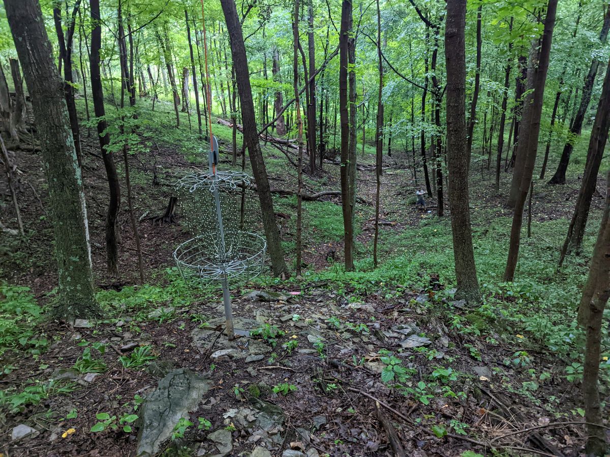 Hole 4 basket looking back at teepad. Teepad is not at location shown on uDisc